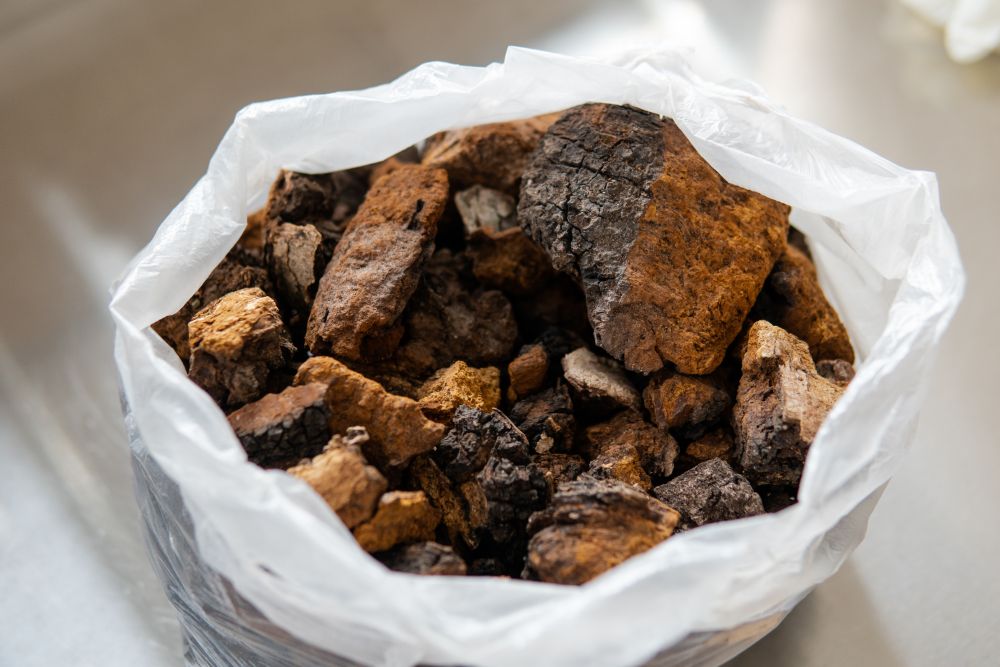 The Ultimate Chaga Buying Guide