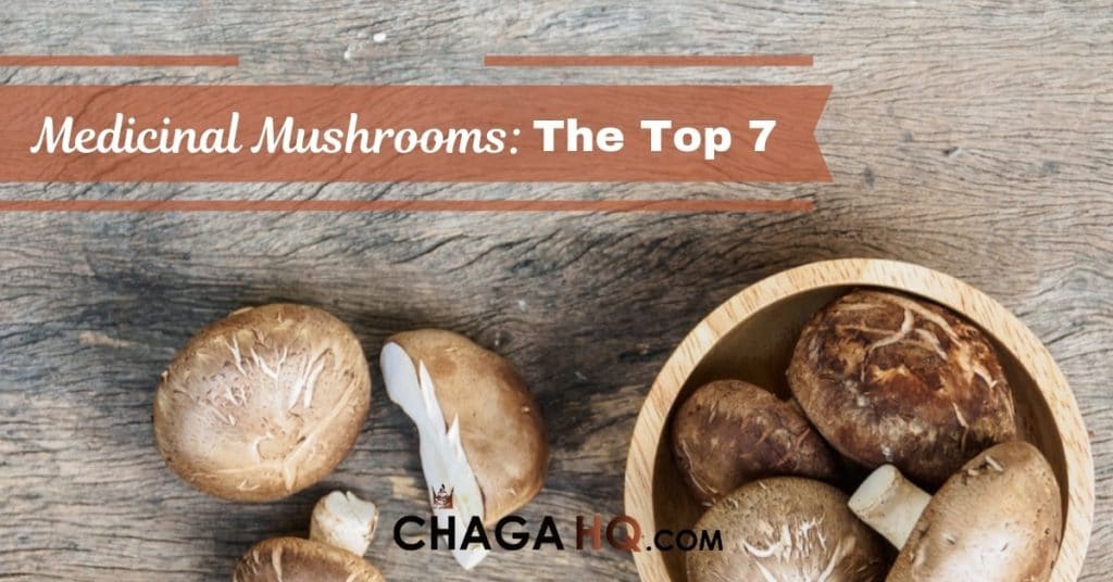 medicinal mushrooms list